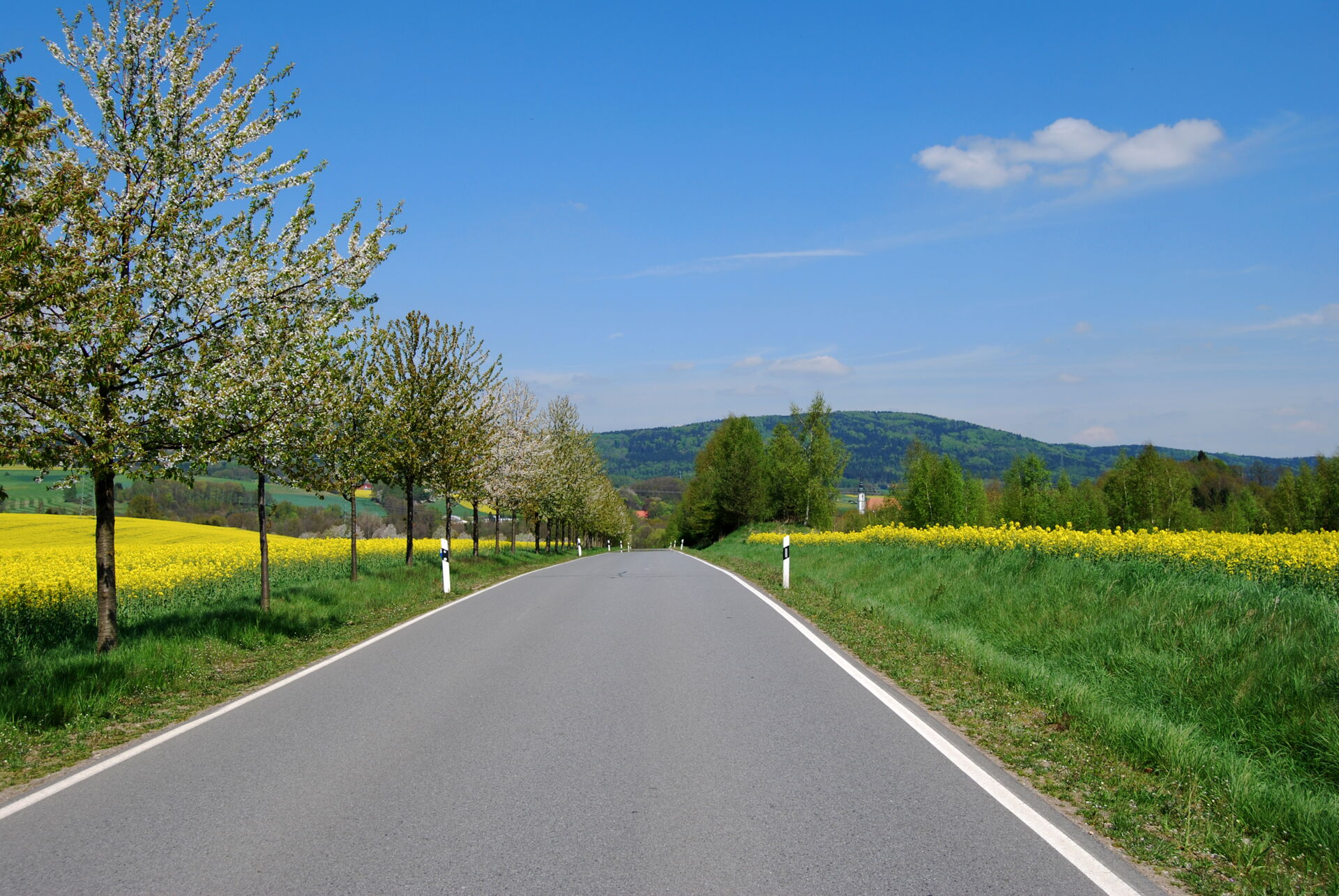 Straße nach Cunewalde