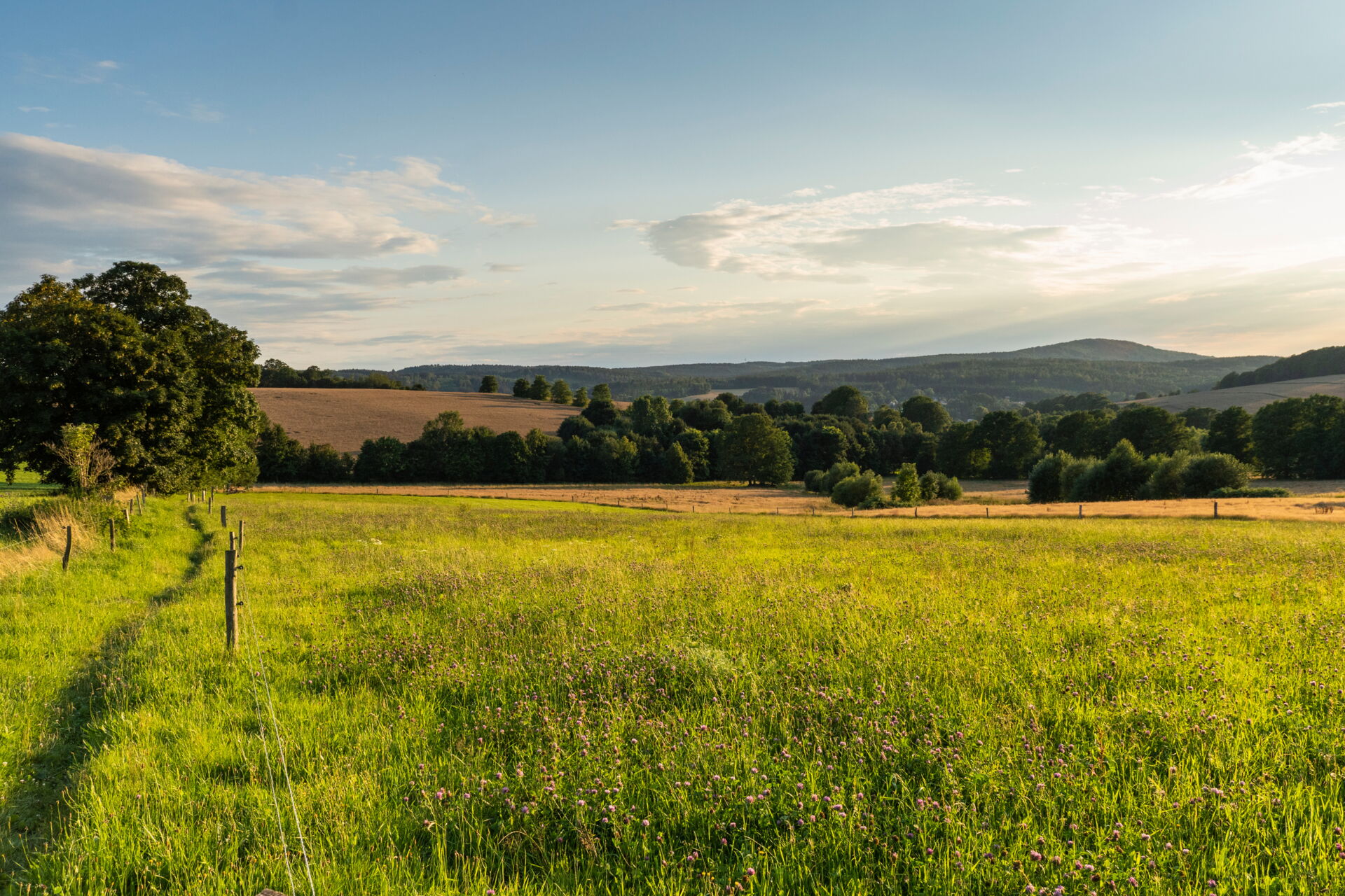 Wandern in Cunewalde- Sonnenuntergang - Feldweg und Blick auf Wiese & Feld
