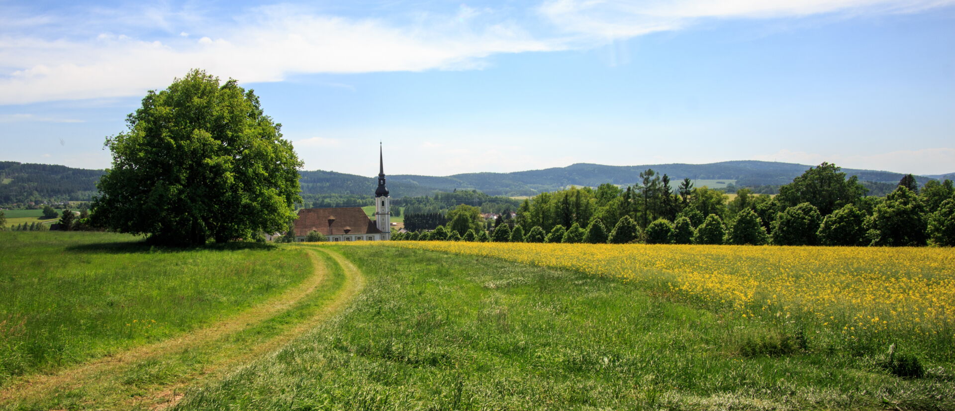 Feldweg nach Cunewalde mit Ausblick auf Kirche & Bergen im Hintergrund