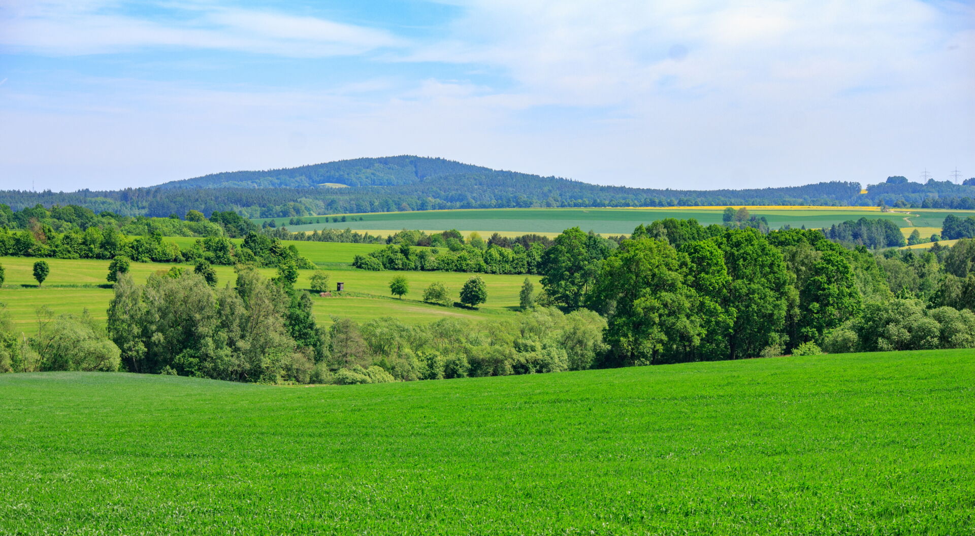 Wald & Wiesenlandschaft Cunewalde